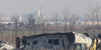 Acțiunea de îngropare a porcilor de la ferma din Stalpu a fost finalizată