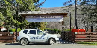 Tabăra Poiana Pinului, nou spațiu de carantină