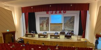 Membru nou în Consiliul Județean. Cine a ocupat locul lăsat liber de Marieta Boloș