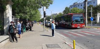 De astăzi! Autobuzele Trans Bus circulă și pentru pensionari! Vezi aici noul program pentru fiecare traseu și cum poți procura abonament