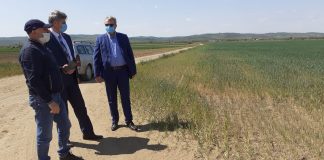 Galerie FOTO! Prefectul Dimian, pe teren. Evaluează pagubele produse de secetă. Se vor da despăgubiri!