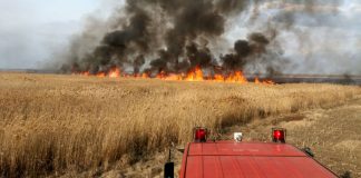 UPDATE! ULTIMĂ ORĂ! Trafic blocat, pe DN 2 E 85, la Mihăilești! Incendiu de vegetație Foto arhivă