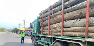 Și la Buzău! Transporturi de lemne fără documente de proveniență! Vezi aici rezultatele controalelor de ieri