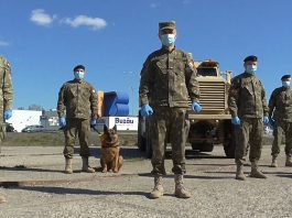 VIDEO! Vezi aici mesajele emoționante ale militarilor buzoieni, de Ziua Forțelor Terestre!