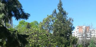 Info extrem de util despre regulile din starea de alertă. Precizări oficiale