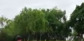 Video! Pugilistul buzoian Bogdan Dinu, antrenament inedit, în Parcul Tineretului