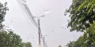 Orașul Buzău, mica Veneție după ploaia torențială! Curți inundate. Mai multe cartiere și o parte din Spitalul Județean, fără curent electric