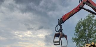 Polițiștii i-au confiscat lemnele! Transport ilegal interceptat la Sătuc