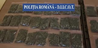 FOTO! 28 de percheziții! Rețea de traficanți de droguri, destructurată