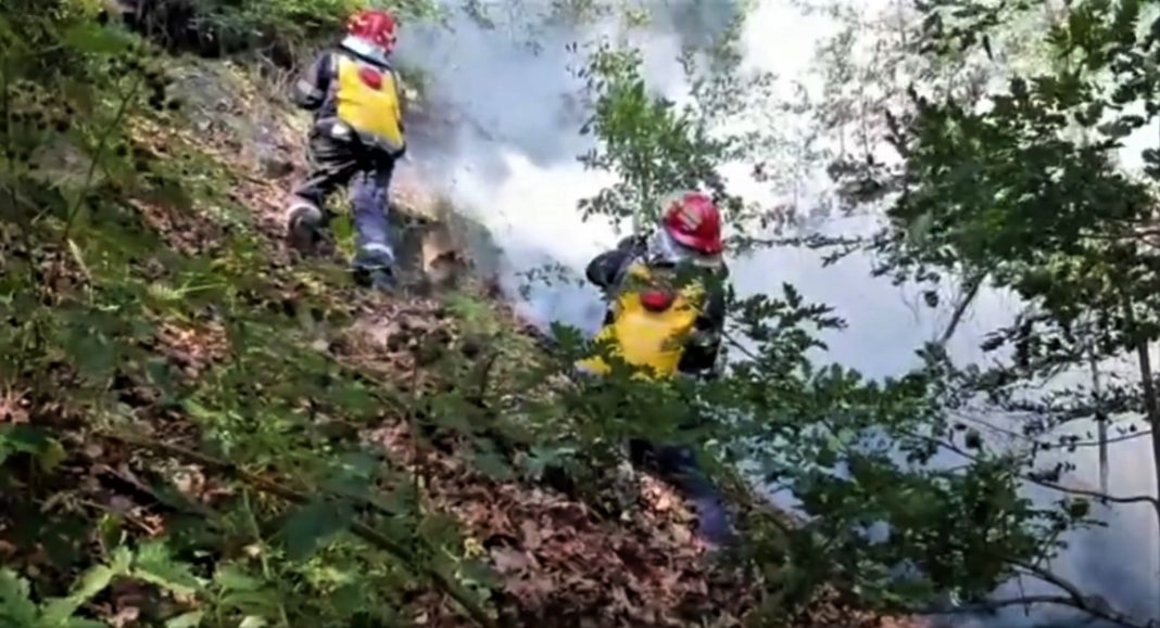 incendiu Manzalesti