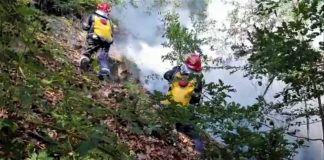 Misiune periculoasă! Pădure în flăcări, la Mânzălești!