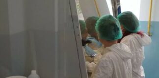 Val de îmbolnăviri, la Buzău! Peste 40 de cazuri noi