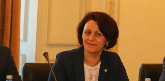 „Am fost înjurată, bruscată, hărțuită! Vărul meu a fost bătut!” Ce spune senatorul Liliana Sbîrnea