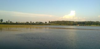 Pe Alexandru Odobescu, apa miraculoasă de la Balta Albă l-a însănătoşit când avea grave probleme de sănătate