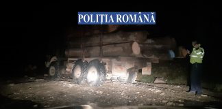 Jaful din pădurile buzoiene continuă! Vezi aici rezultatul ultimelor acțiuni