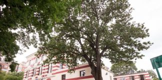 A treia clasă închisă, la o școală din orașul Buzău! Elevă depistată cu COVID