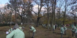 Galerie FOTO! Parcul Crâng. A început plantarea celor 775 de stejari. Vezi aici lista eroilor militari!