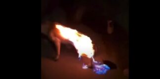 I-au dat foc! Cruzime față de un câine! Poliția i-a prins pe făptași