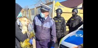 Mesajul ministrului Vela, după ce trei copii din Zărnești au incendiat un câine