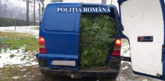 Controale în weekend! Ce au confiscat polițiștii