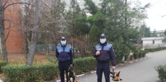 Iată cum poți deveni polițist la Biroul Protecția Animalelor! IPJ Buzău angajează din sursă externă!