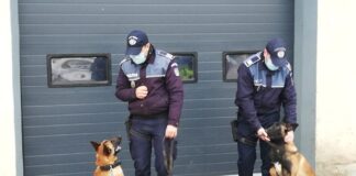 FOTO! Sia și Dan, noii colegi ai polițiștilor buzoieni