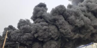 S-a lăsat cu amenzi record! Ce a descoperit și dispus Garda de Mediu, după incendiul puternic de pe șoseaua Pogonele