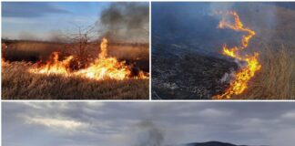 (FOTO) Misiuni de weekend. Iată apelul pompierilor buzoieni!