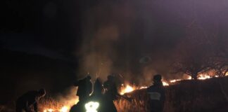 (FOTO) Incendiu de proporții, în miez de noapte, la Pârscov! Pe cine dă vina Primăria