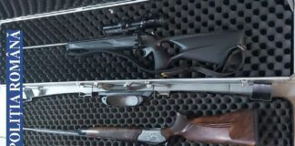 Armele și mașinile, confiscate! Braconaj la Vernești! Au vânat doi urși, după care s-au trezit cu polițiștii la ușă