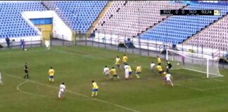 Remiză albă, în Crâng