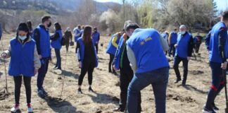 (FOTO) Acțiune de împădurire, la Scorțoasa. Puieți plantați de liberali