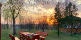 Cea mai mare amendă dată la o petrecere din județul Buzău! Cu cât și de ce a fost sancționat proprietarul