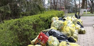 (FOTO) Peste 300 de saci cu gunoaie, strânși din Parcul Crâng! Felicitări, organizatorilor! Rușine, celor care aruncă!