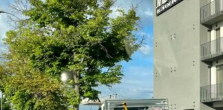 „Un nou moment istoric”. Anunțul vicelui Buzăului