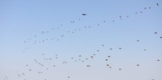 IMAGINI SPECTACULOASE, LA BOBOC! Parașutiști americani, polonezi, olandezi și români, exercițiu în forță!