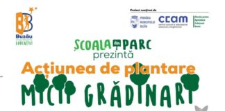 Micuții grădinari, la plantat, în Parcul Tineretului! Invitația viceprimăriței Matache