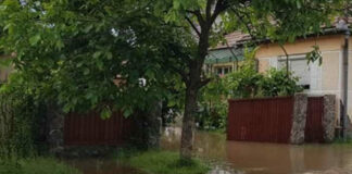 Gospodării inundate! Unde acționează pompierii buzoieni