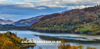 Asociația GAL Valea Buzăului lansează noi proiecte! Iată oportunitățile!