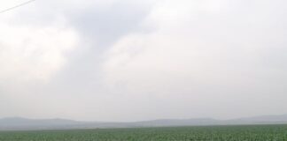 Ultimă oră! Grav accident, pe drumul spre Puiești! Dubiță răsturnată, mai mulți răniți!