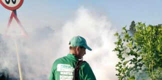 (FOTO) 1-0 pentru țânțari, la Buzău! Începe a doua rundă de dezinsecție. Iată programul!