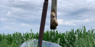 UPDATE! Accident la Florica! Intervine descarcerarea