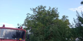 (FOTO) Bilanțul unei misiuni de peste 10 ore