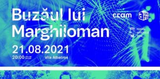FESTIVAL. Concert la Vila Albatros. Cine cântă în seara asta