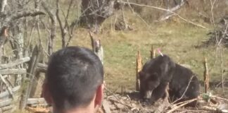 (FOTO) AZI. E și ziua Jandarmeriei Montane. Iată istoricul de la Buzău!