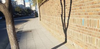 D’ale lui „Dorel”. „Îmi explică și mie cineva…”/ „Este o eroare ce va fi remediată!”