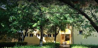 Aproape 400 de bobocei, online. Ce se întâmplă la cea mai mare grădiniță din Buzău