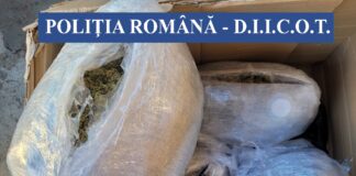 Tânăr reținut! Droguri trimise din Spania, confiscate de polițiști și procurorii de la Crimă Organizată