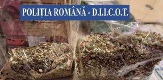 (FOTO) Dealerul de droguri, săltat de mascați! Furniza marfă unor tineri buzoieni