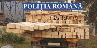 (FOTO) Prinși în flagrant! Ce infracțiuni la regimul silvic au mai descoperit polițiștii buzoieni